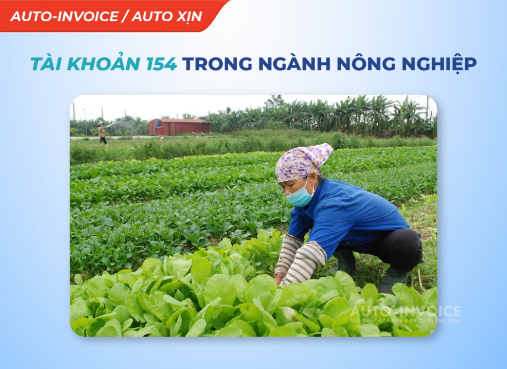 Tài khoản 154 trong ngành nông nghiệp